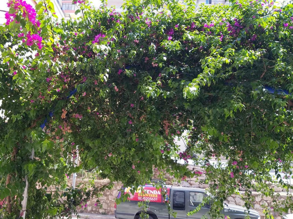 Iraa'S Apartment Sarandë 외부 사진